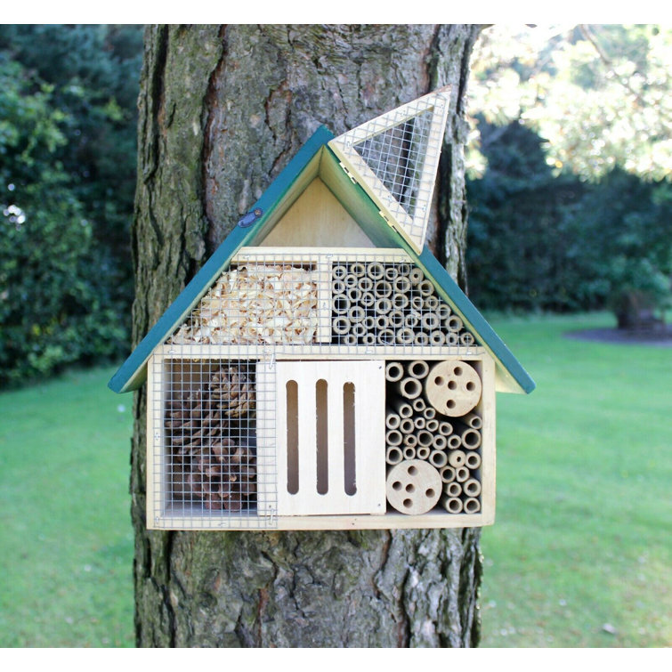 Dakota Fields Thorfred Weather Resistant Insect Cage Wayfair.co.uk